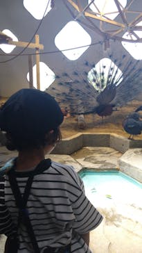 NIFREL（ニフレル）に投稿された画像（2024/5/5）