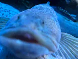 仙台うみの杜水族館に投稿された画像（2024/5/6）