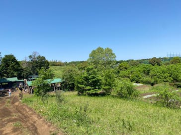 空と大地の丘森本農園に投稿された画像（2024/5/5）