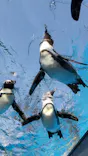 サンシャイン水族館に投稿された画像（2024/5/6）