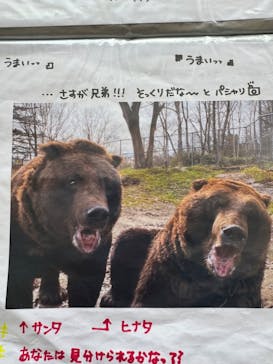 サホロリゾート　ベア･マウンテンに投稿された画像（2024/5/5）