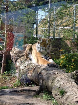 那須どうぶつ王国に投稿された画像（2024/5/5）