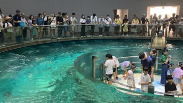 城崎マリンワールドに投稿された画像（2024/5/5）