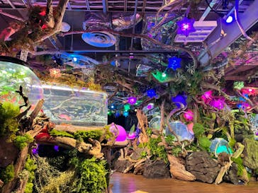 NARA IKIMONO MUSEUMに投稿された画像（2024/5/5）