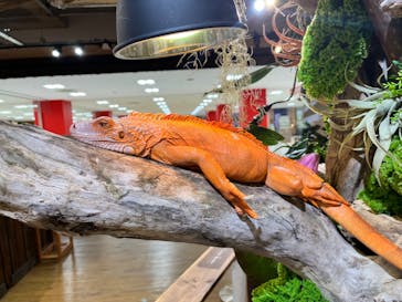 NARA IKIMONO MUSEUMに投稿された画像（2024/5/5）