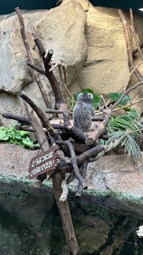 那須どうぶつ王国に投稿された画像（2024/5/6）