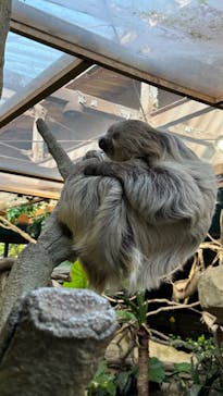 那須どうぶつ王国に投稿された画像（2024/5/6）