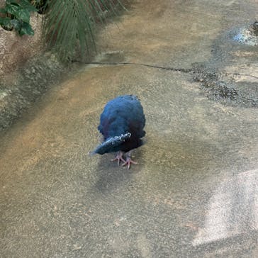 那須どうぶつ王国に投稿された画像（2024/5/6）