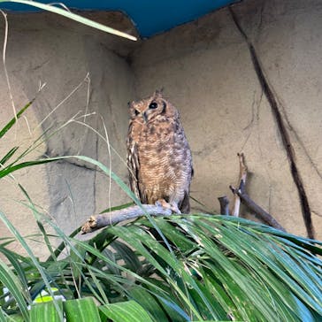 那須どうぶつ王国に投稿された画像（2024/5/6）