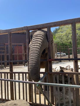 東北サファリパークに投稿された画像（2024/5/6）