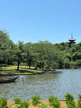 三溪園に投稿された画像（2024/5/6）