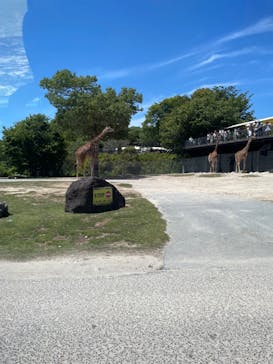 姫路セントラルパークに投稿された画像（2024/5/6）