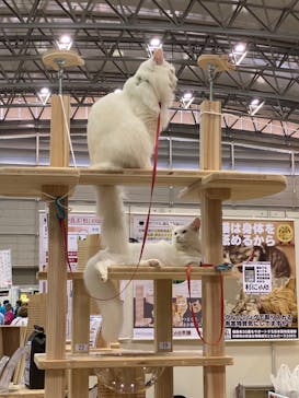 Pet博2025 幕張に投稿された画像（2024/5/6）