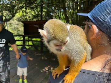 長崎バイオパークに投稿された画像（2024/5/6）