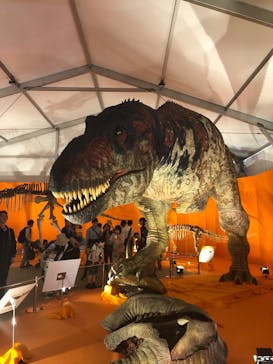 オダイバ恐竜博覧会2024 -福井から“ヤツラ”が新幹線でやってくる！-に投稿された画像（2024/5/6）