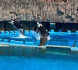 名古屋港水族館に投稿された画像（2024/5/6）