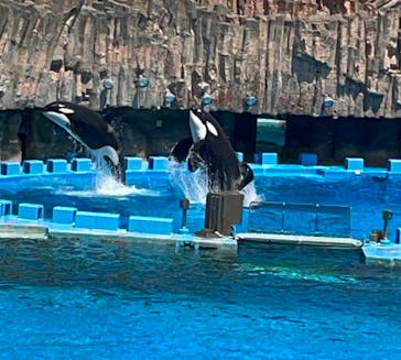 名古屋港水族館に投稿された画像（2024/5/6）