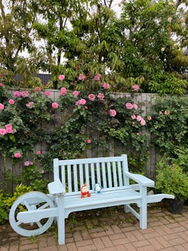 横浜イングリッシュガーデンに投稿された画像（2024/5/6）