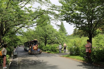 浜名湖花博2024に投稿された画像（2024/5/6）