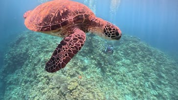 ディーズパルス沖縄に投稿された画像（2024/5/6）