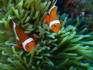 ディーズパルス沖縄に投稿された画像（2024/5/6）