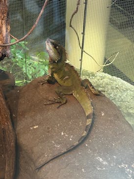 日立市かみね動物園に投稿された画像（2024/5/6）