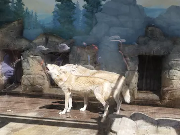 天王寺動物園に投稿された画像（2024/5/6）