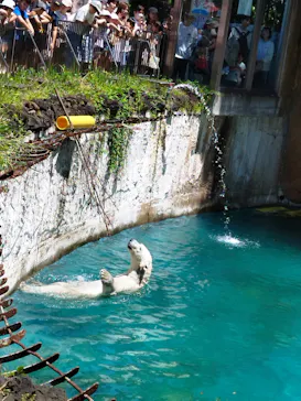 天王寺動物園に投稿された画像（2024/5/6）