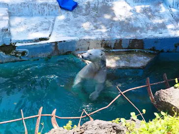 天王寺動物園に投稿された画像（2024/5/6）