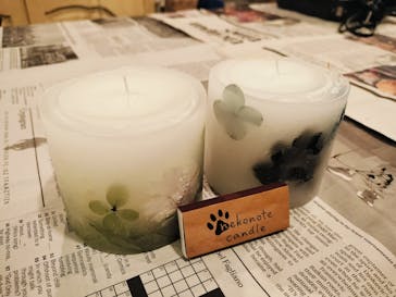 nekonoteキャンドルに投稿された画像（2024/5/6）