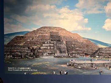 特別展「古代メキシコ ーマヤ、アステカ、テオティワカン」に投稿された画像（2024/5/6）