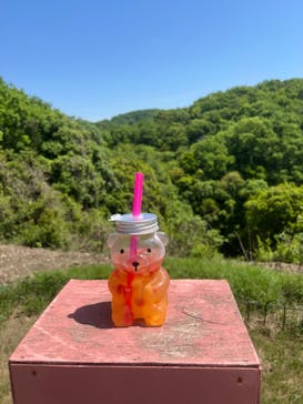 みろくの里に投稿された画像（2024/5/6）