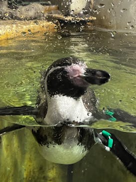 城崎マリンワールドに投稿された画像（2024/5/6）