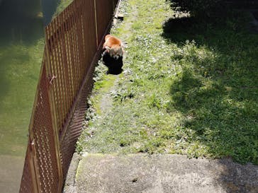 熱川バナナワニ園に投稿された画像（2024/5/6）