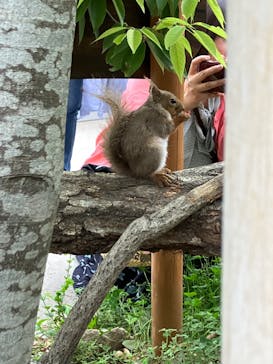 神戸どうぶつ王国に投稿された画像（2024/5/6）