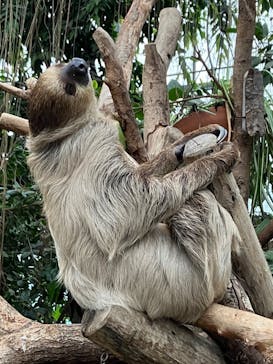 神戸どうぶつ王国に投稿された画像（2024/5/6）