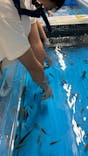 越前松島水族館に投稿された画像（2024/5/6）