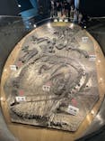 福井県立恐竜博物館に投稿された画像（2024/5/6）
