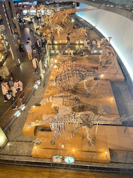 福井県立恐竜博物館に投稿された画像（2024/5/6）