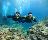 武藤潜水に投稿された画像（2024/5/6）