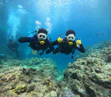 武藤潜水に投稿された画像（2024/5/6）