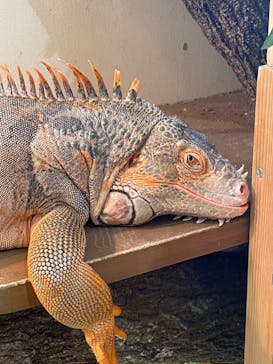 アニタッチららぽーと名古屋みなとアクルスに投稿された画像（2024/5/6）