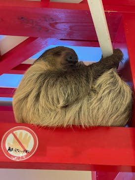 アニタッチららぽーと名古屋みなとアクルスに投稿された画像（2024/5/6）