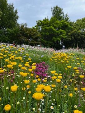 浜名湖花博2024に投稿された画像（2024/5/6）
