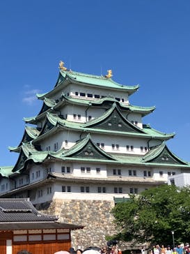 名古屋城に投稿された画像（2024/5/6）