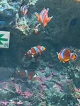 サンシャイン水族館に投稿された画像（2024/5/6）