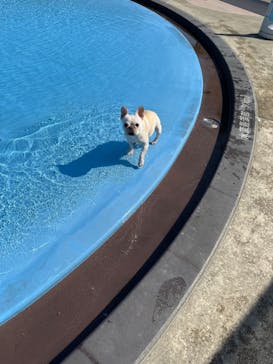 わんダフルネイチャーヴィレッジに投稿された画像（2024/5/6）