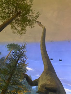 福井県立恐竜博物館に投稿された画像（2024/5/6）