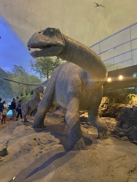 福井県立恐竜博物館に投稿された画像（2024/5/6）