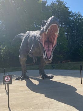 福井県立恐竜博物館に投稿された画像（2024/5/6）